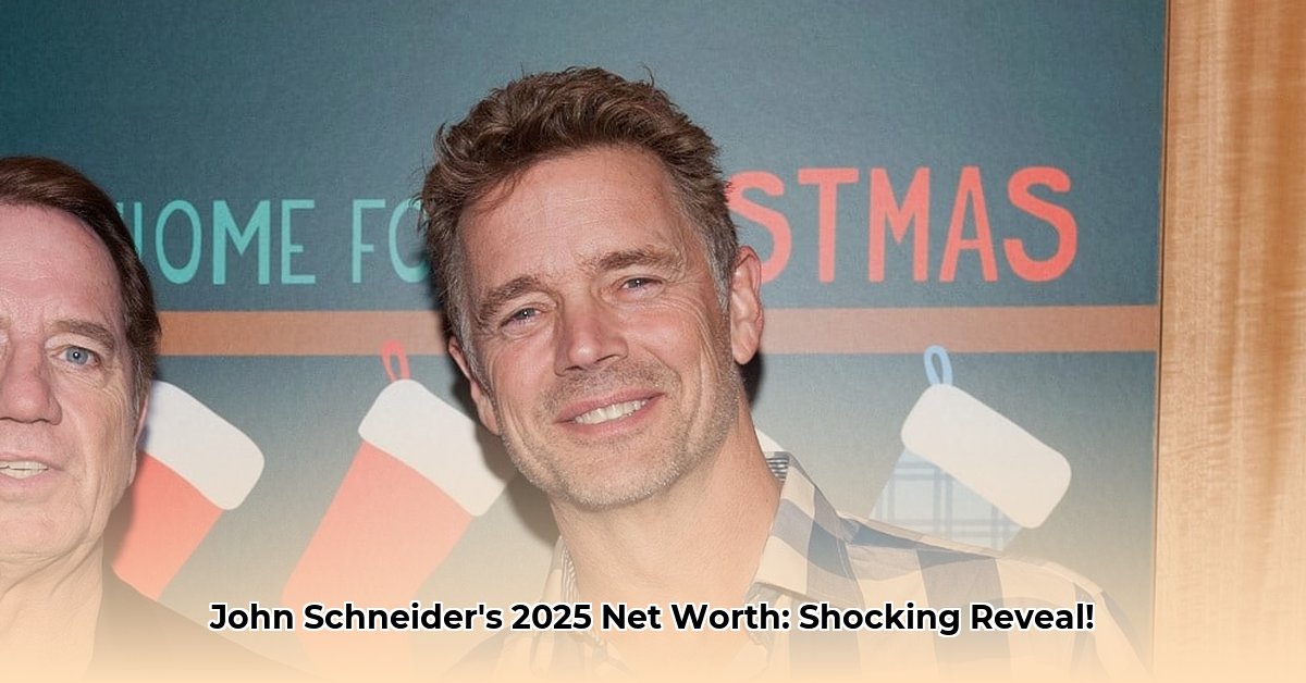 john-schneider-net-worth